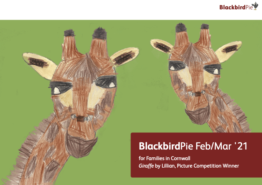 BlackbirdPie 2021 February