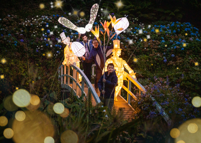 Lantern magic at Trebah Garden