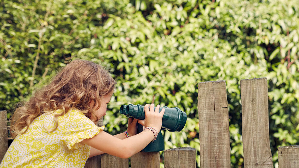 Get outdoors: Family outings for wonderful weather