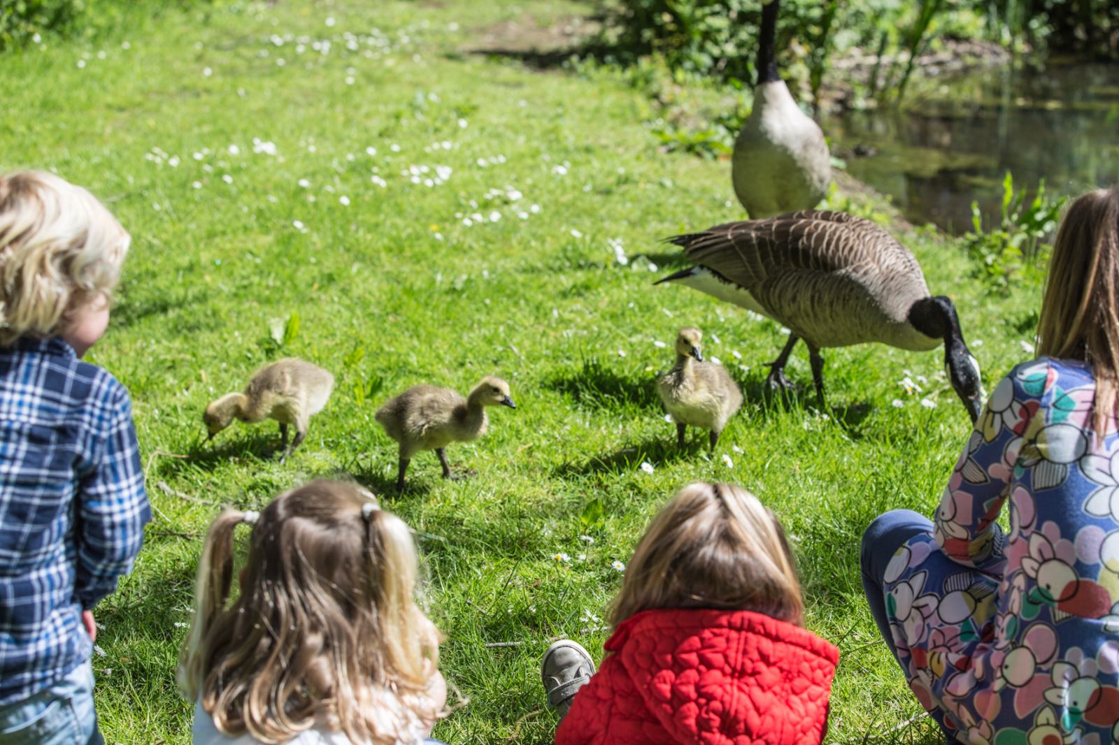 Easter what’s-on: Wonderful egg hunt fun