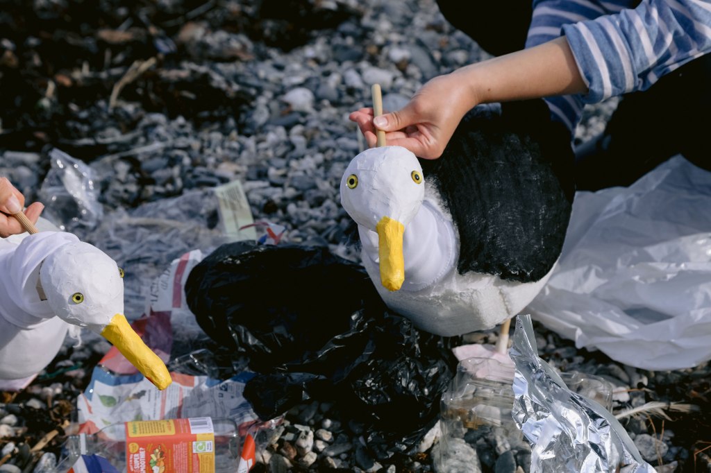 Last chance: Get tickets to see When Seagulls Saved the World at Trebah Garden